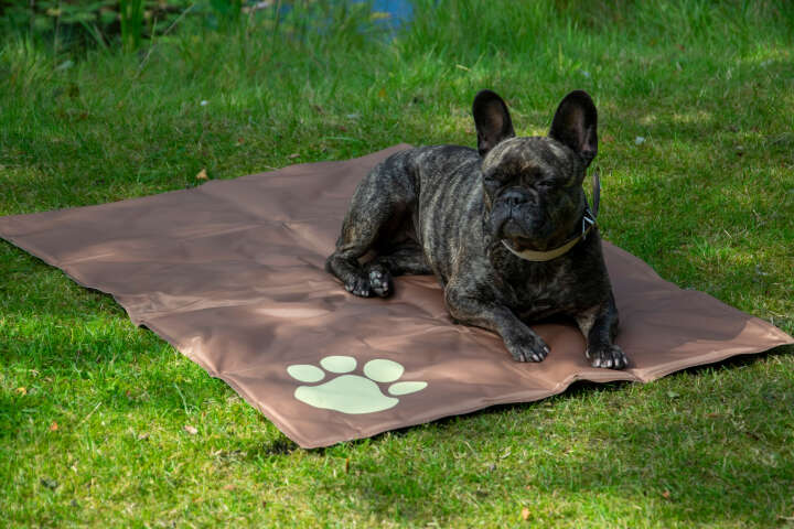 dobar Kühlmatte für Hunde mit Pfotenprint